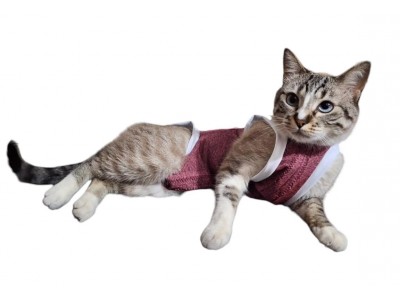 Roupa Pós-Cirúrgica para Felinos e Cães Magros